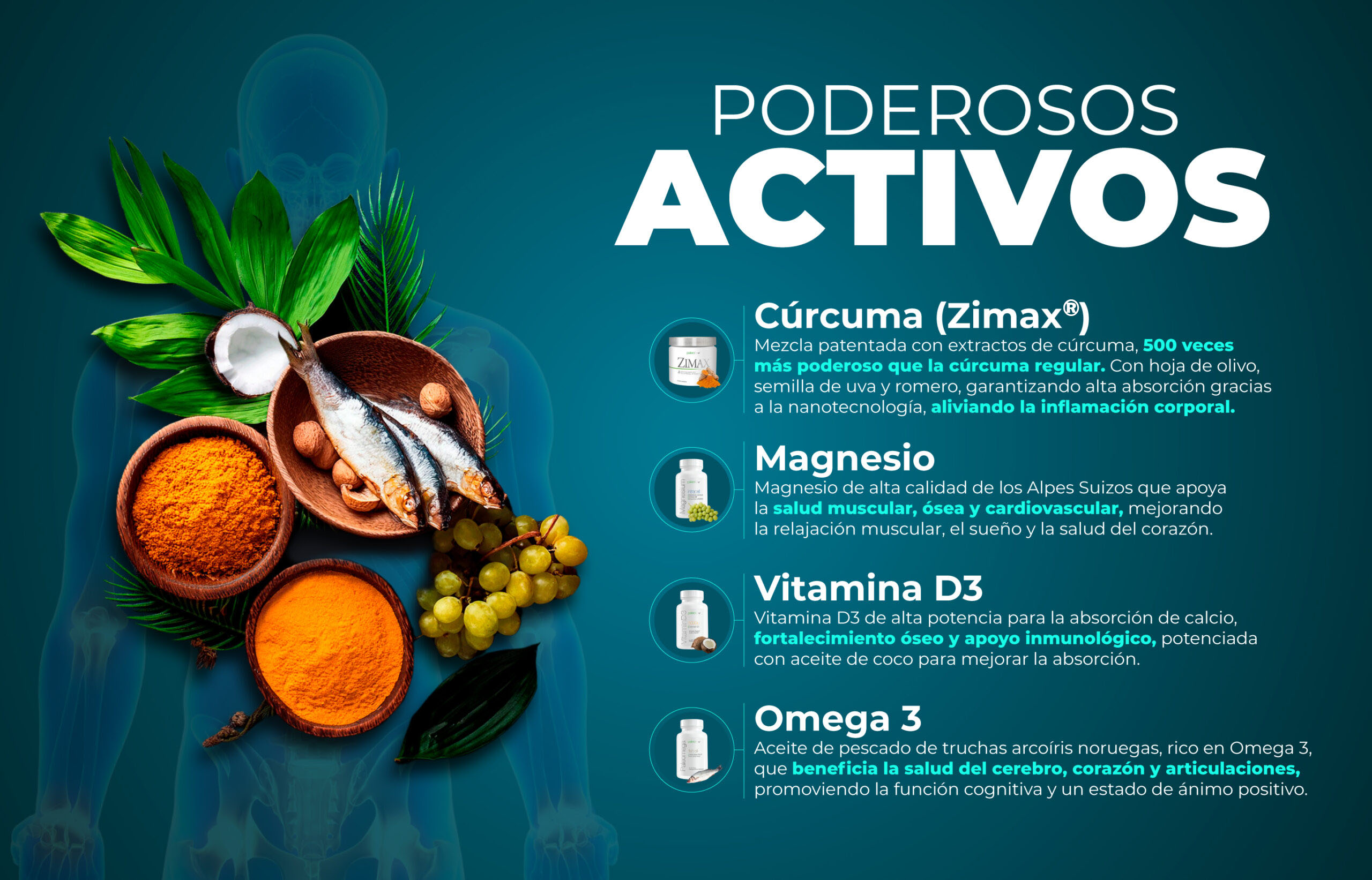 CREOENMIDISEÑOWEB